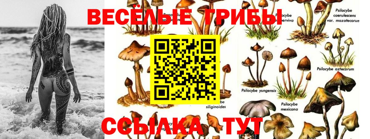 Псилоцибиновые грибы ЛСД Бор